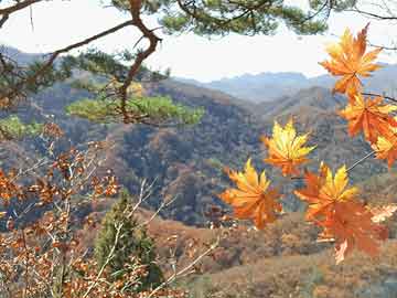 gate是什么交易所:小鹏汇天飞行汽车智造基地正式动工，规划年产能1万台 · 快讯-gate芝麻交易所